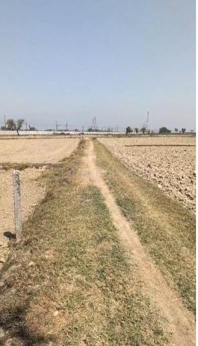 property_images/agricultural_in_hathras_1781163198_6a2a64be52eb4.jpg