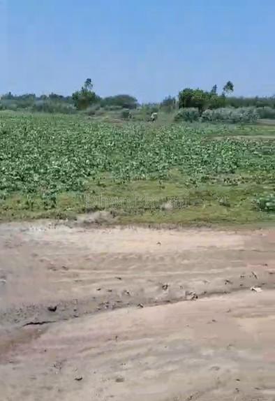 property_images/agricultural_in_hathras_1781169668_6a2a7e04a0eed.jpg