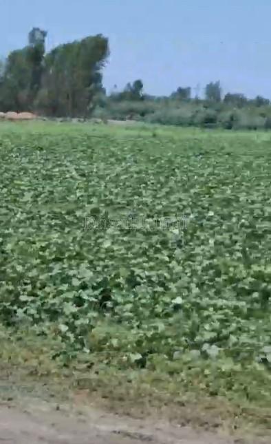 property_images/agricultural_in_hathras_1781169668_6a2a7e04a4e34.jpg
