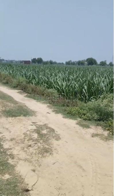 property_images/agricultural_in_hathras_1781170277_6a2a8065e0f51.jpg