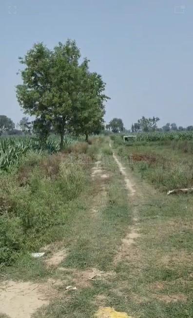 property_images/agricultural_in_hathras_1781170978_6a2a832202f91.jpg