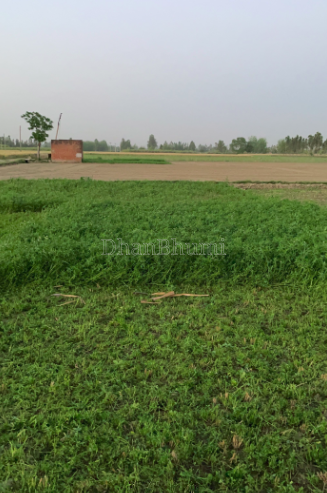 property_images/agricultural_in_hathras_1782460482_6a3e30425d9d0.PNG