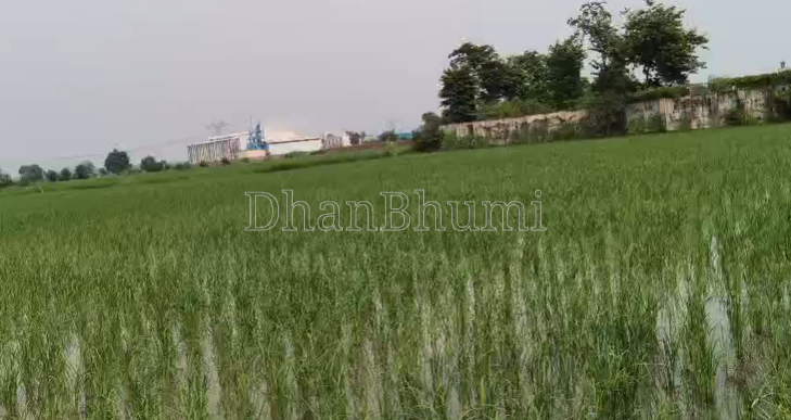 property_images/agricultural_in_hathras_1787636668_6a8d2bbcd751b.png
