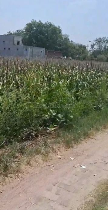 property_images/agricultural_in_hathras_1787636990_6a8d2cfe0deb8.png