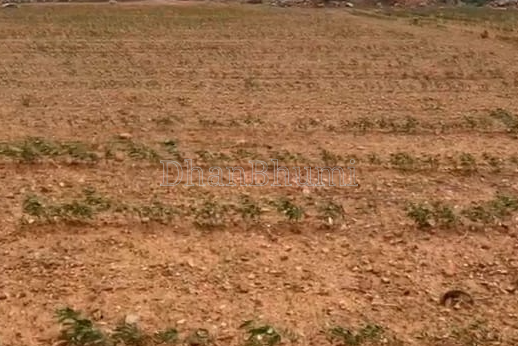 property_images/agricultural_in_hathras_1788598314_6a9bd82abaa73.png