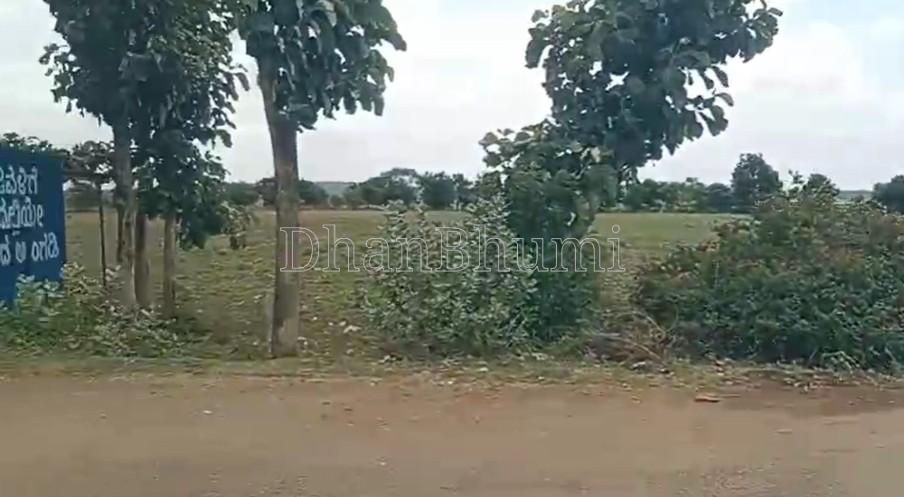 property_images/agricultural_in_haveri_1782803468_6a436c0cc8c92.jpg