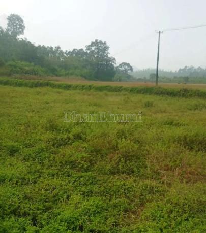 property_images/agricultural_in_haveri_1782809992_6a43858833598.jpg