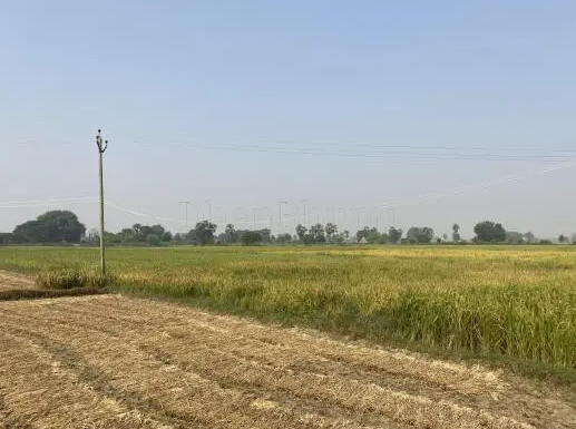 property_images/agricultural_in_hazaribagh_1788958007_6aa1553702a15.PNG