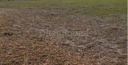property_images/agricultural_in_hisar_1792142464_6ad1ec8099f13.png