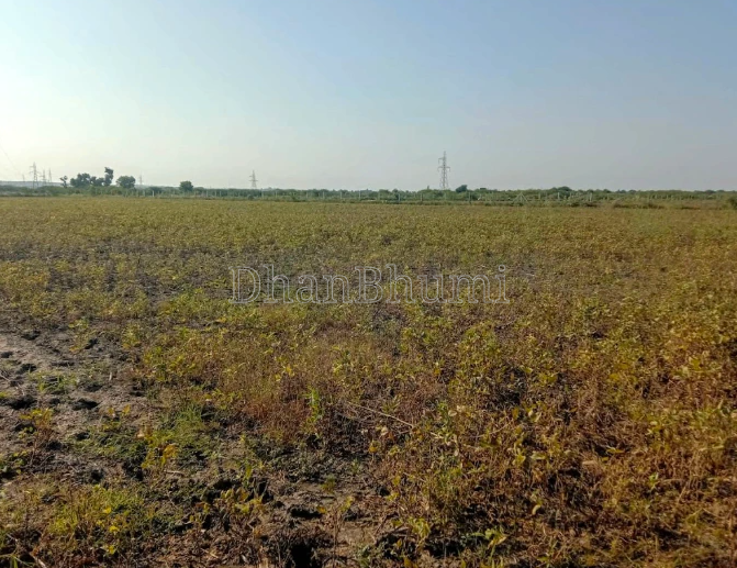 property_images/agricultural_in_hoshiarpur_1785415264_6a6b4660ee814.PNG