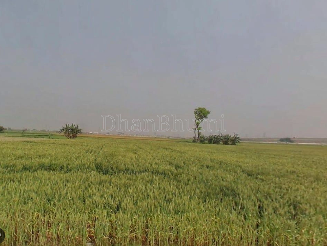 property_images/agricultural_in_hoshiarpur_1789728863_6aad185f05fb5.PNG