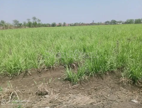 property_images/agricultural_in_hyderabad_1785315437_6a69c06dc97a9.PNG