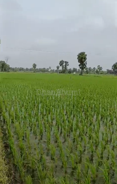 property_images/agricultural_in_indore_1787204811_6a8694cbf1d68.png
