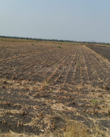 property_images/agricultural_in_indore_1787205701_6a8698455b41b.png