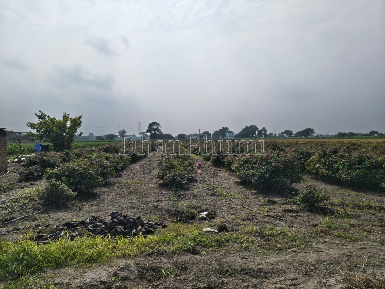 property_images/agricultural_in_indore_1787313453_6a883d2d3ed03.jpeg