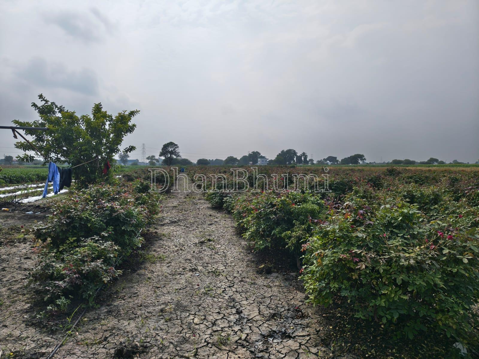 property_images/agricultural_in_indore_1787313453_6a883d2d793e9.jpeg