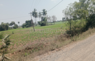property_images/agricultural_in_indore_1787375548_6a892fbc91cd4.png