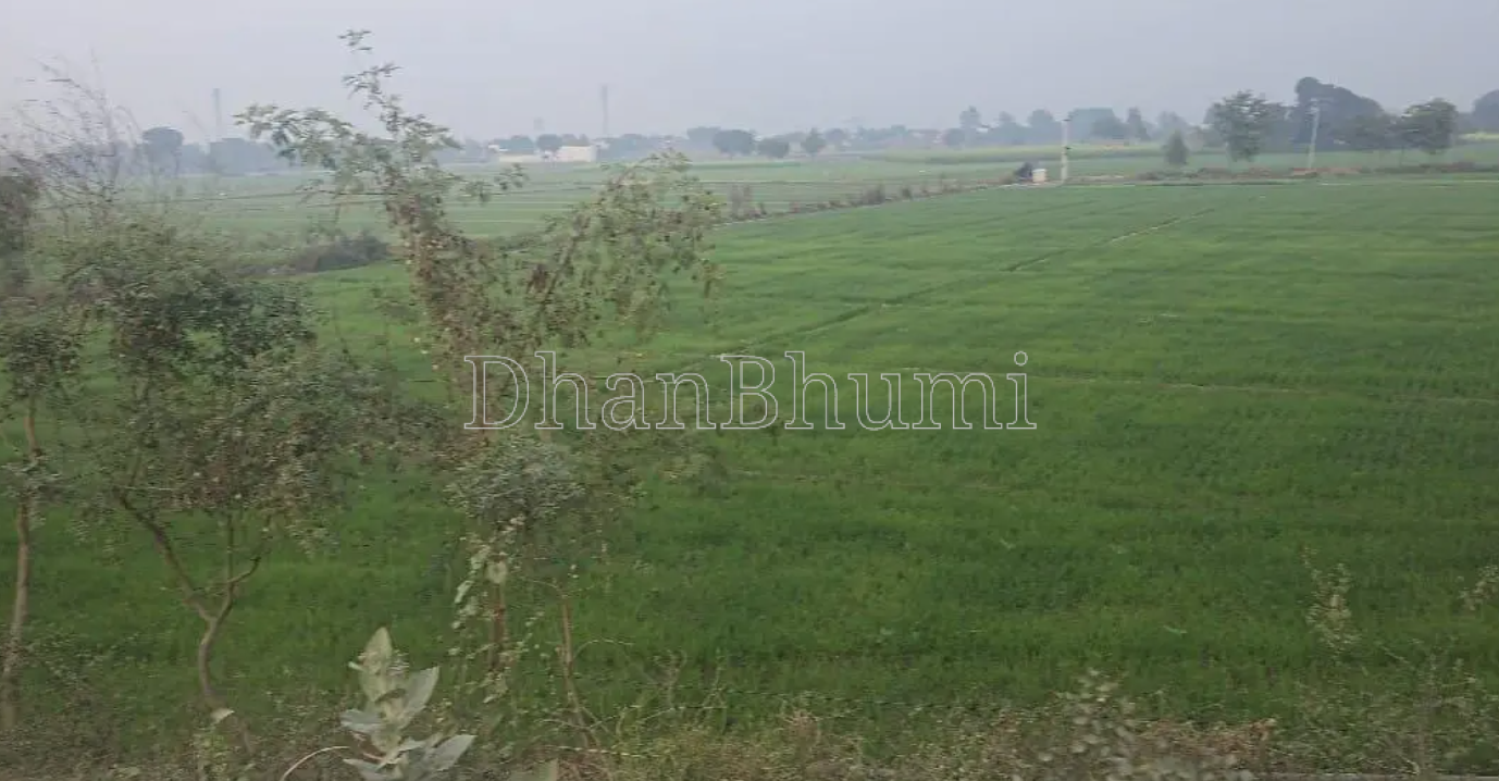 property_images/agricultural_in_indore_1787641809_6a8d3fd13809b.png