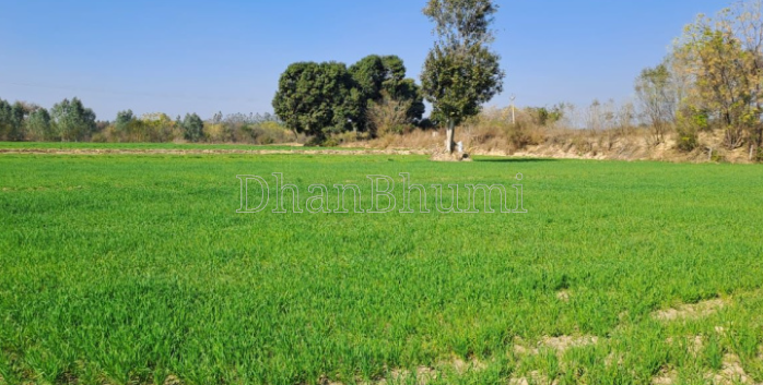 property_images/agricultural_in_indore_1788160976_6a952bd0a6b03.png
