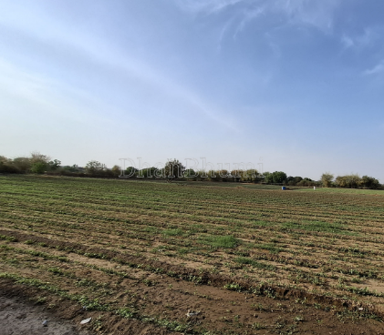 property_images/agricultural_in_indore_1789466692_6aa918449bfed.png