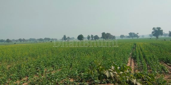 property_images/agricultural_in_indore_1789467156_6aa91a143cc7c.png