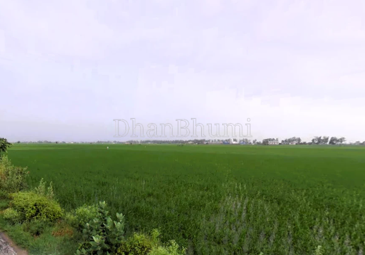 property_images/agricultural_in_indore_1789467380_6aa91af4a8d0e.png