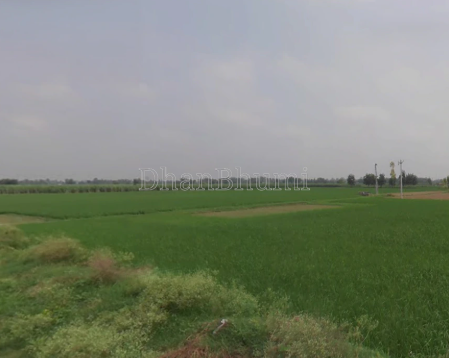 property_images/agricultural_in_indore_1789467714_6aa91c426951b.png