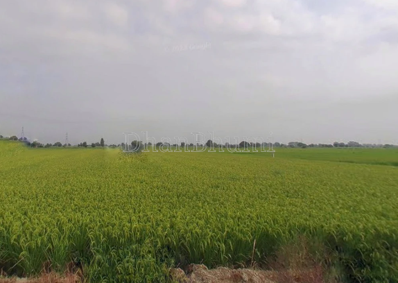 property_images/agricultural_in_indore_1789468281_6aa91e793afcb.png