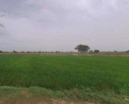 property_images/agricultural_in_indore_1789468489_6aa91f493885b.png