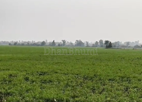 property_images/agricultural_in_indore_1789540601_6aaa38f986007.png