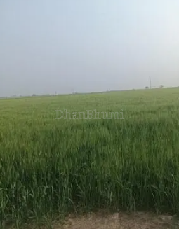 property_images/agricultural_in_indore_1789540992_6aaa3a806d021.png