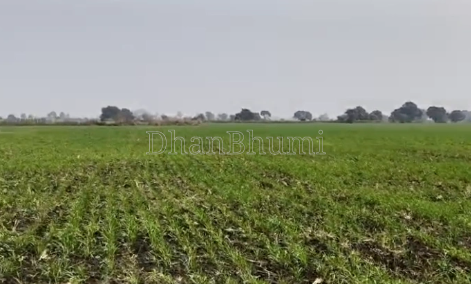 property_images/agricultural_in_indore_1789638378_6aabb6ea0b4c7.png