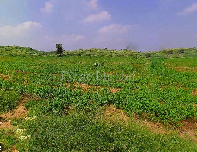 property_images/agricultural_in_indore_1789992879_6ab11fafb0a6d.PNG