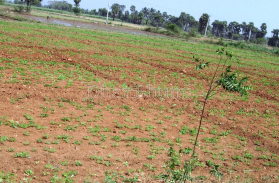 property_images/agricultural_in_indore_1790765108_6abce83448b19.png