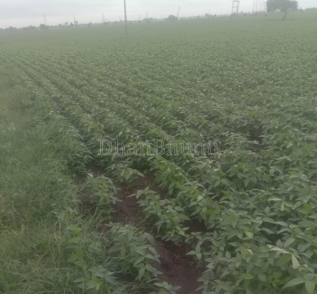 property_images/agricultural_in_indore_1790838001_6abe04f1ed351.png