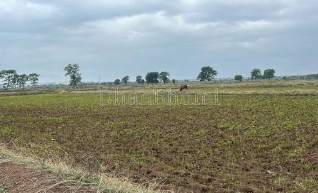 property_images/agricultural_in_indore_1792844466_6adca2b211fb5.PNG