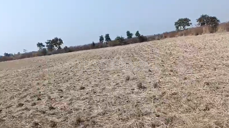 property_images/agricultural_in_jabalpur_1785565588_6a6d91946db95.png