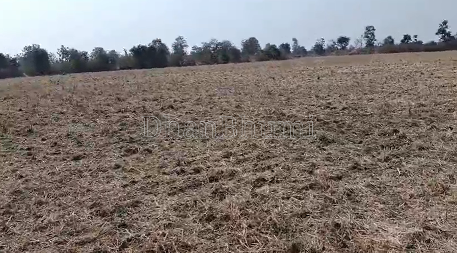 property_images/agricultural_in_jabalpur_1785565588_6a6d9194b6e03.png