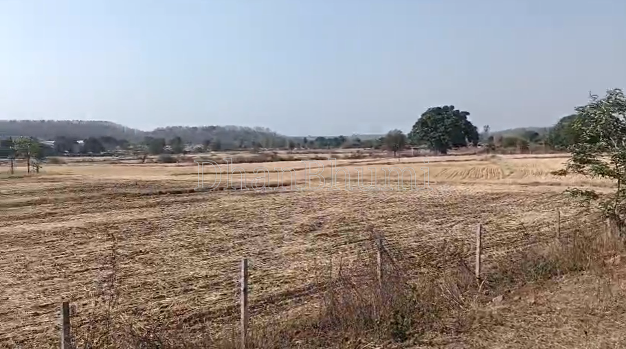 property_images/agricultural_in_jabalpur_1785567126_6a6d9796e0a32.png