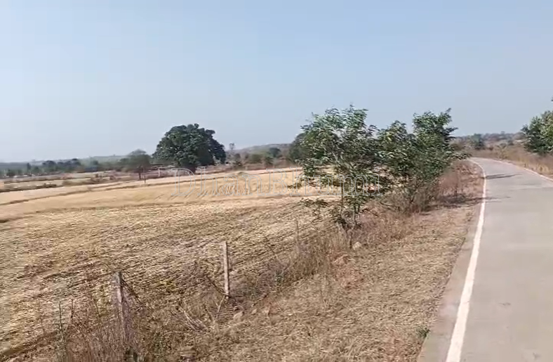 property_images/agricultural_in_jabalpur_1785567127_6a6d9797469a6.png