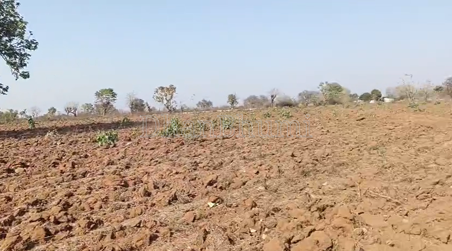 property_images/agricultural_in_jabalpur_1785567723_6a6d99eb21e0c.png