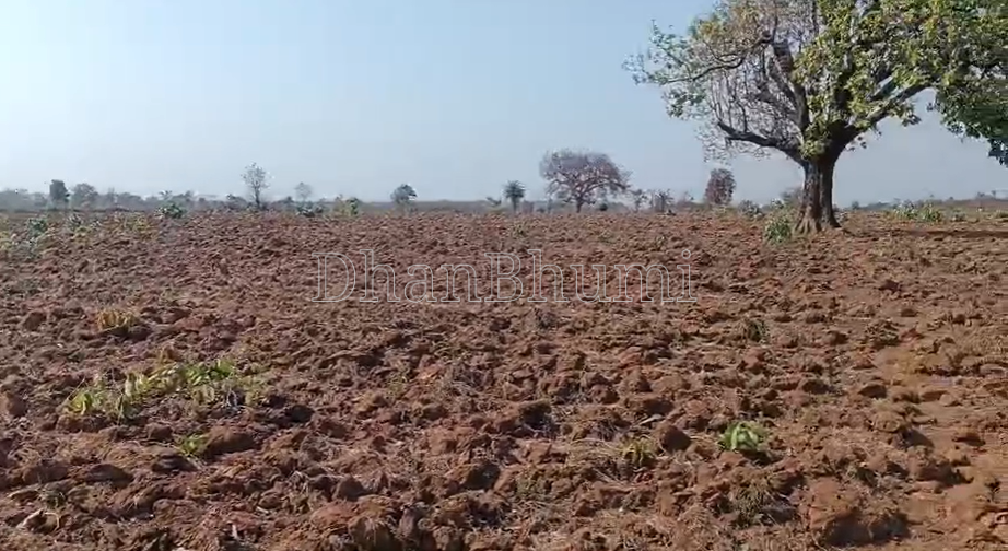 property_images/agricultural_in_jabalpur_1785567723_6a6d99eb4f29c.png