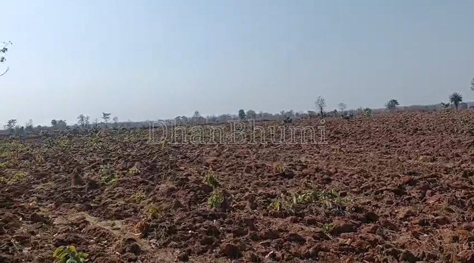 property_images/agricultural_in_jabalpur_1785567723_6a6d99eb803b5.png
