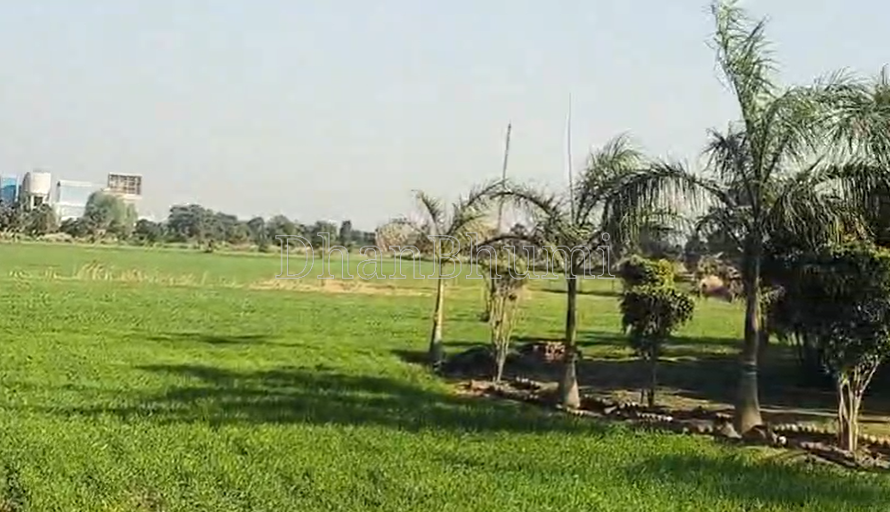 property_images/agricultural_in_jabalpur_1785568169_6a6d9ba9ac192.png