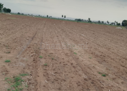 property_images/agricultural_in_jabalpur_1788172372_6a9558541d1ab.png