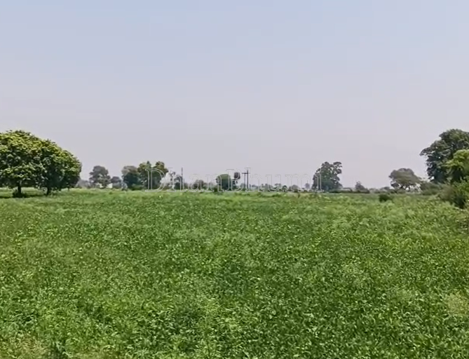 property_images/agricultural_in_jabalpur_1788502744_6a9a62d88b97d.png