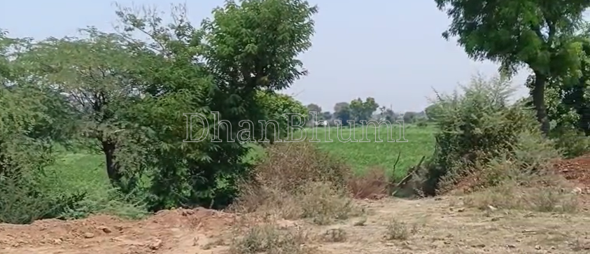 property_images/agricultural_in_jabalpur_1788502939_6a9a639b437dc.png