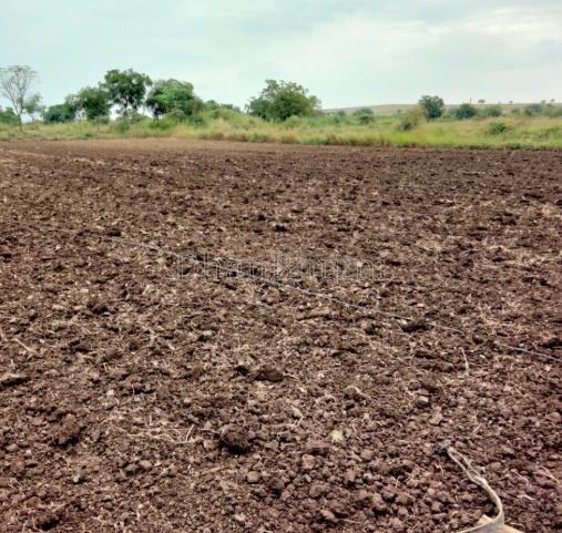 property_images/agricultural_in_jabalpur_1789551987_6aaa657342b3d.png