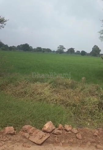 property_images/agricultural_in_jabalpur_1789552219_6aaa665b197e0.png