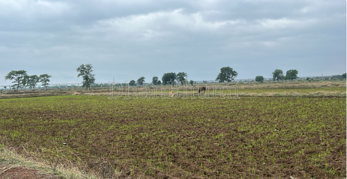 property_images/agricultural_in_jabalpur_1789628134_6aab8ee6c2655.png